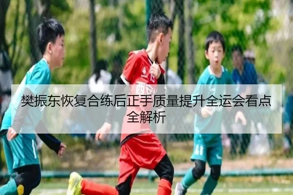 樊振东恢复合练后正手质量提升全运会看点全解析